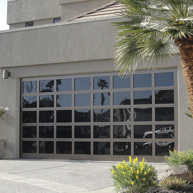 Glass & Aluminum Modern Garage Doors