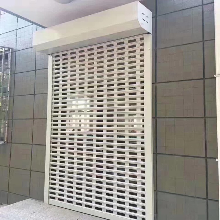 Perforated Aluminum Roller Shutter Door From China